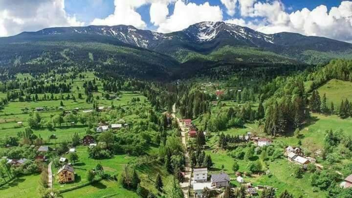 Casa Dana Hotell Borşa Exteriör bild