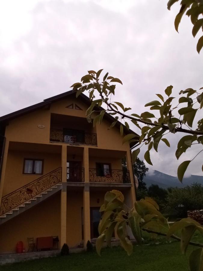 Casa Dana Hotell Borşa Exteriör bild