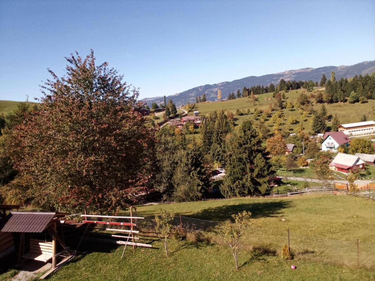 Casa Dana Hotell Borşa Exteriör bild